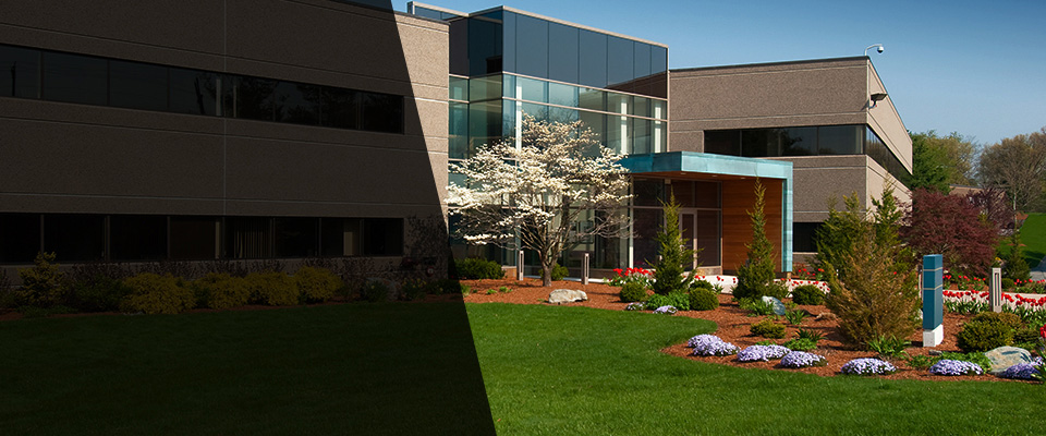 Freeville Landscapers