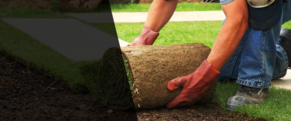 Freeville Landscapers